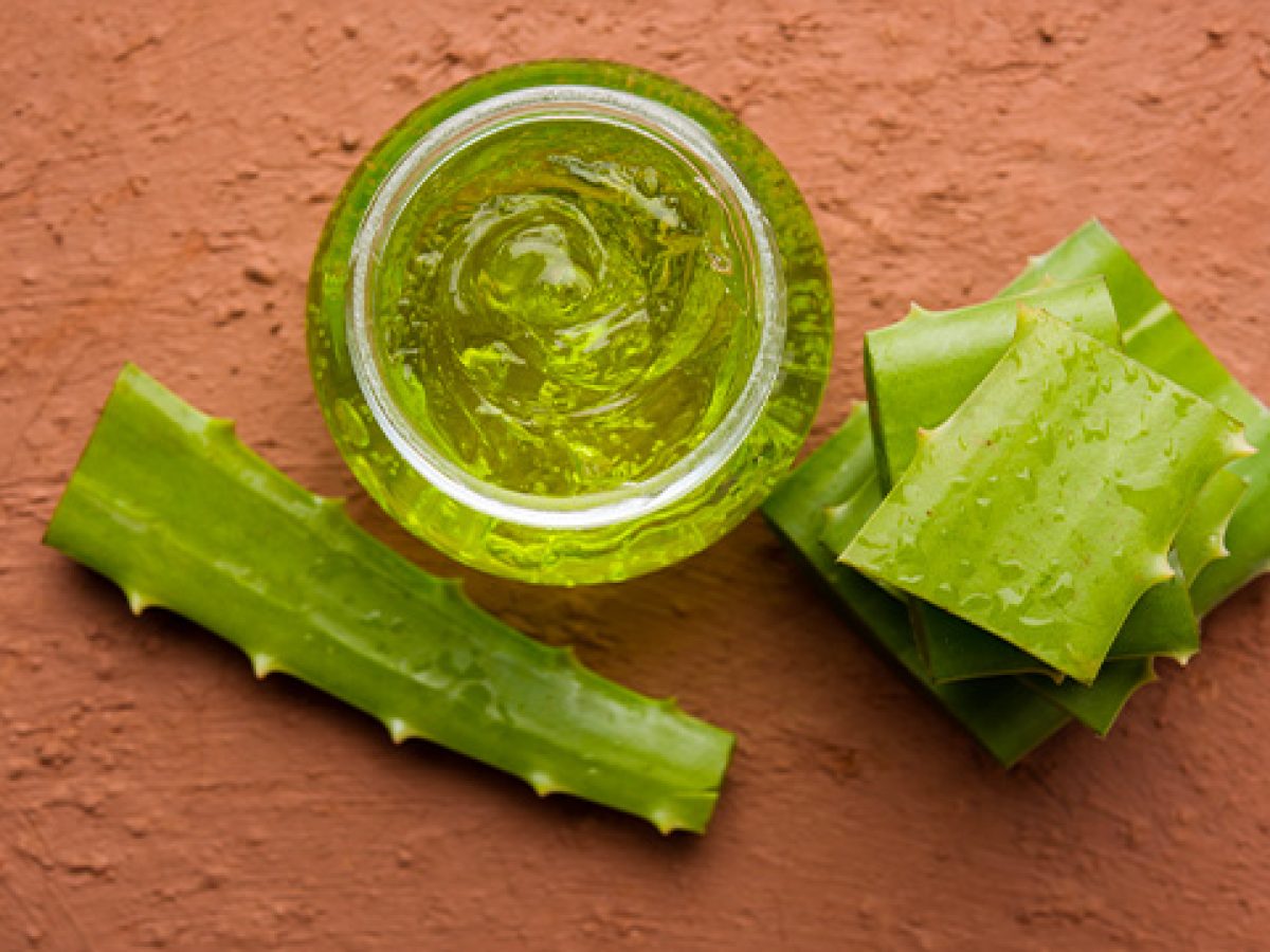 Masque Visage Aloe Vera : tous ses bienfaits - Marionnaud