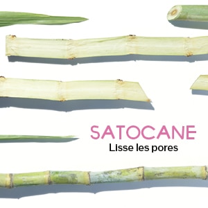 Satocane - Shiseido