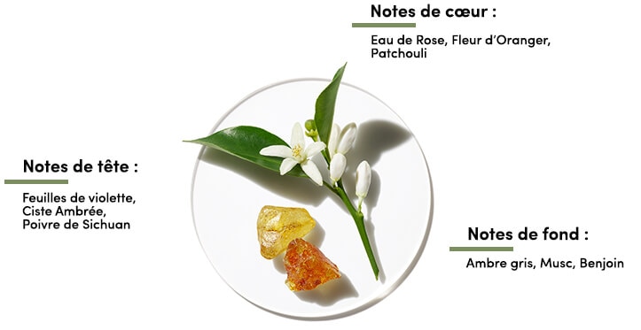 Aromatics Elixir