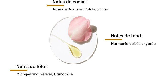 composition ensorcelante