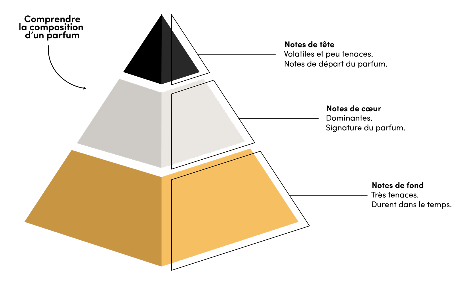 pyramide olfactive