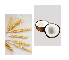 HARVEST 10