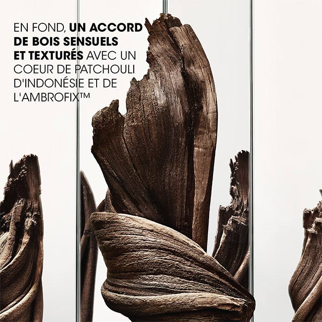EN FOND EN FOND