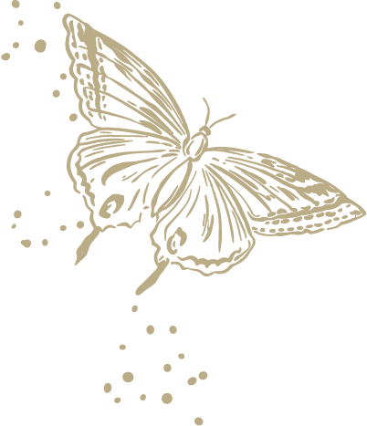Illustration Papillon