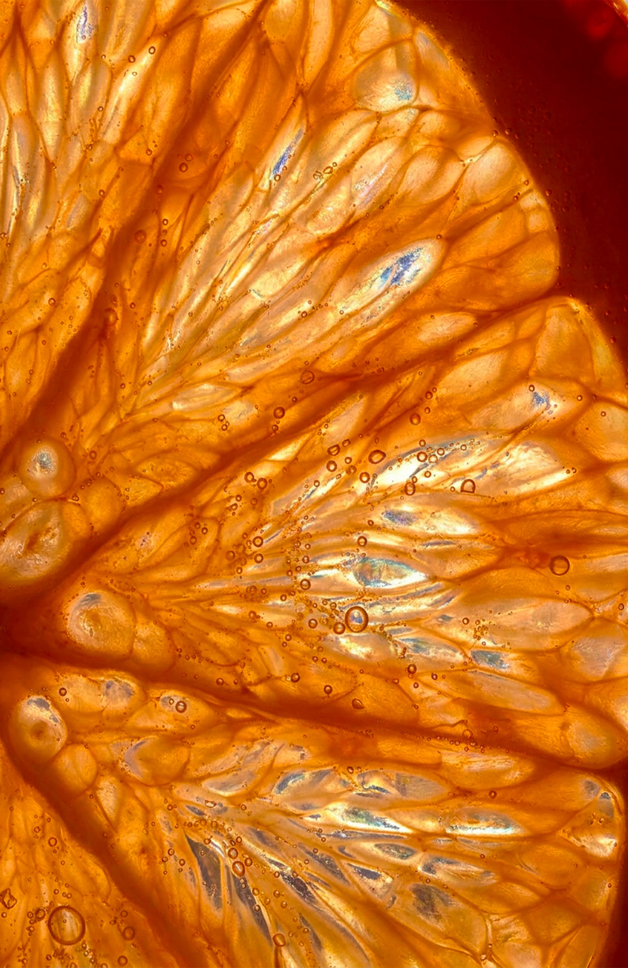 Notes agrumées de citron, d'orange et de pamplemousse