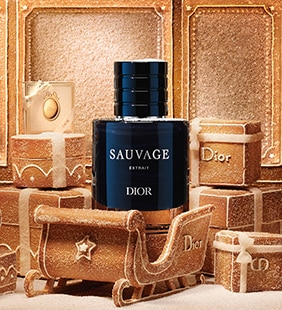 PARFUMS MASCULINS DIOR