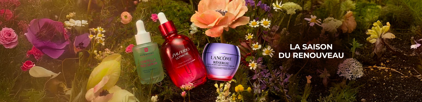 LA SAISON DU RENOUVEAU