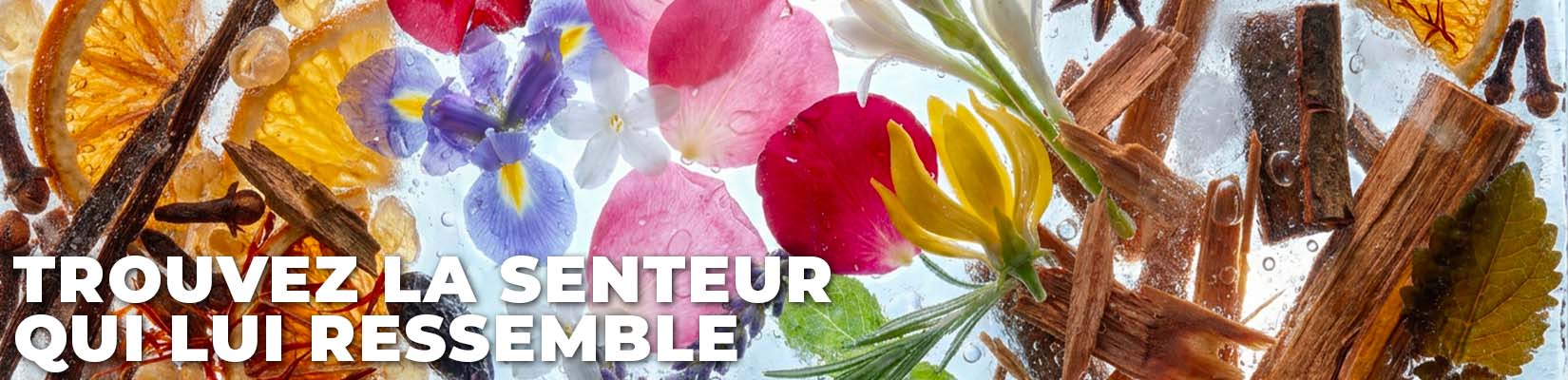 Trouvez la senteur qui lui ressemble BAN_CAT_SENTEURS_OLFACTIVES