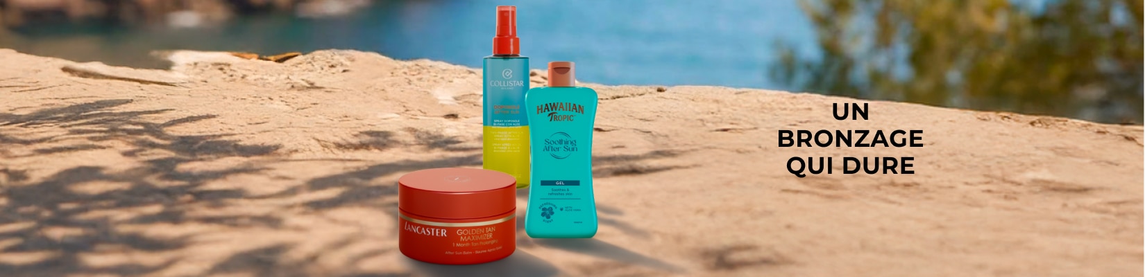BAN_CAT_1650x400-mfr.jpg BAN_CAT_1650x400-mfr.jpg