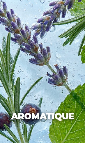 Aromatique BAN_AROMATIQUE