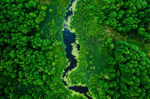 Engagé pour l&apos;environnement