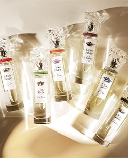 Clone de Sisley_Acces_Rapides_Parfum