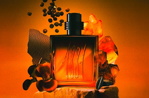 CERRUTI CERRUTI