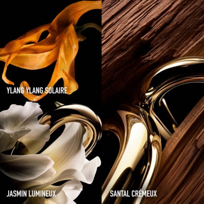 Parfum - rechargeable