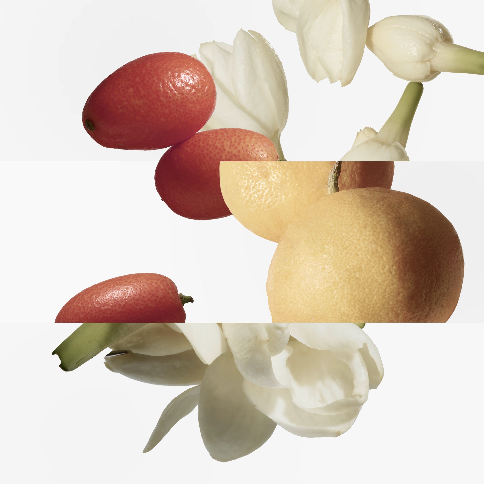 Eau de toilette - recharge