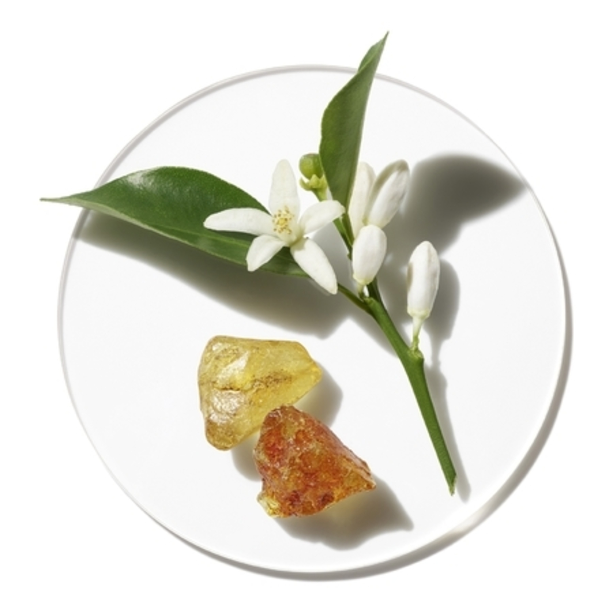 Eau de Parfum Vaporisateur