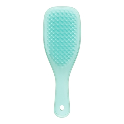  TANGLE TEEZER MINI WET DETANGLER Mini brosse démêlante pour cheveux mouillés Sea Green  1 of 4 