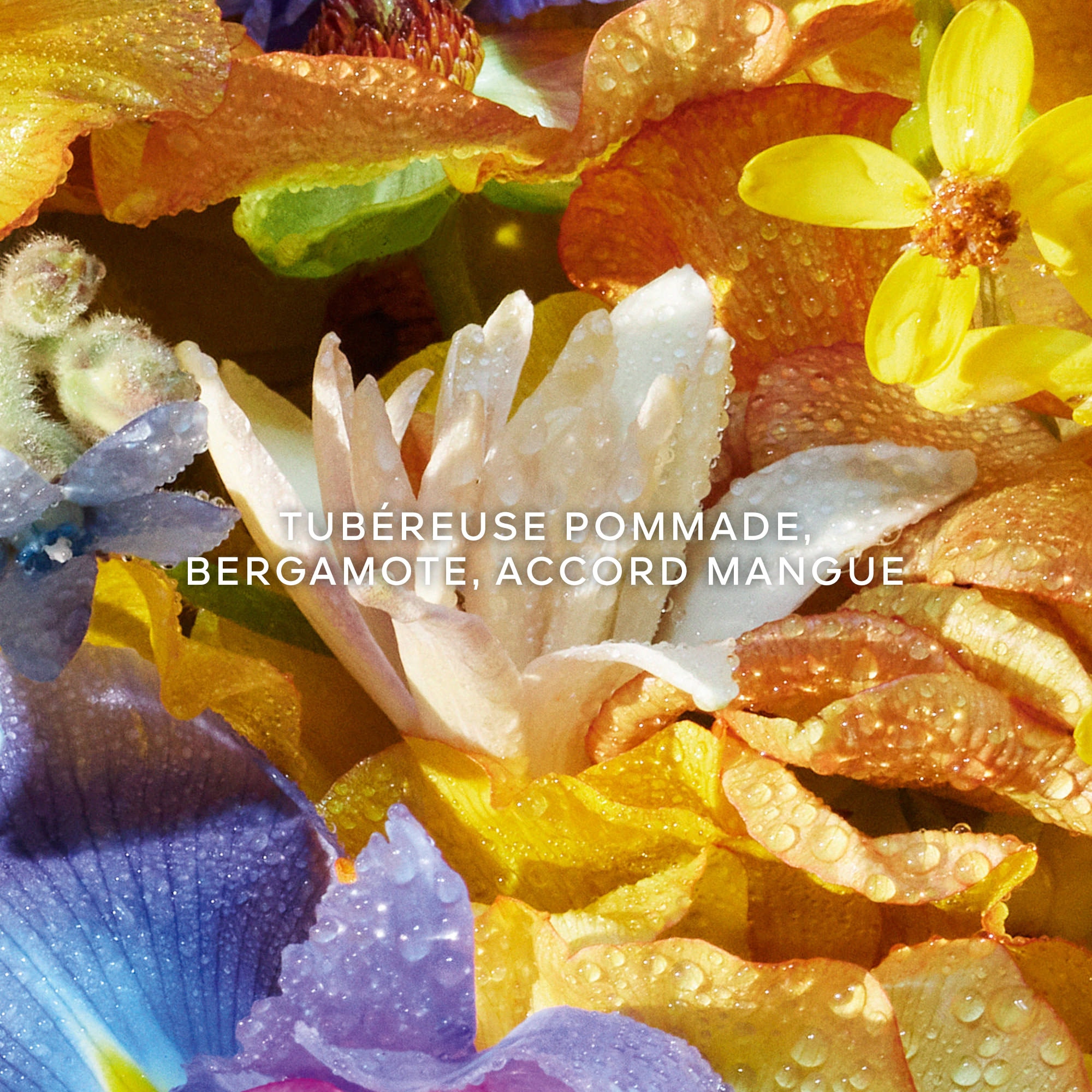 Florabloom - eau de toilette - la recharge