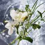 200ml Guerlain AQUA ALLEGORIA Herba fresca - recharge 2 of 4 Herba fresca - recharge