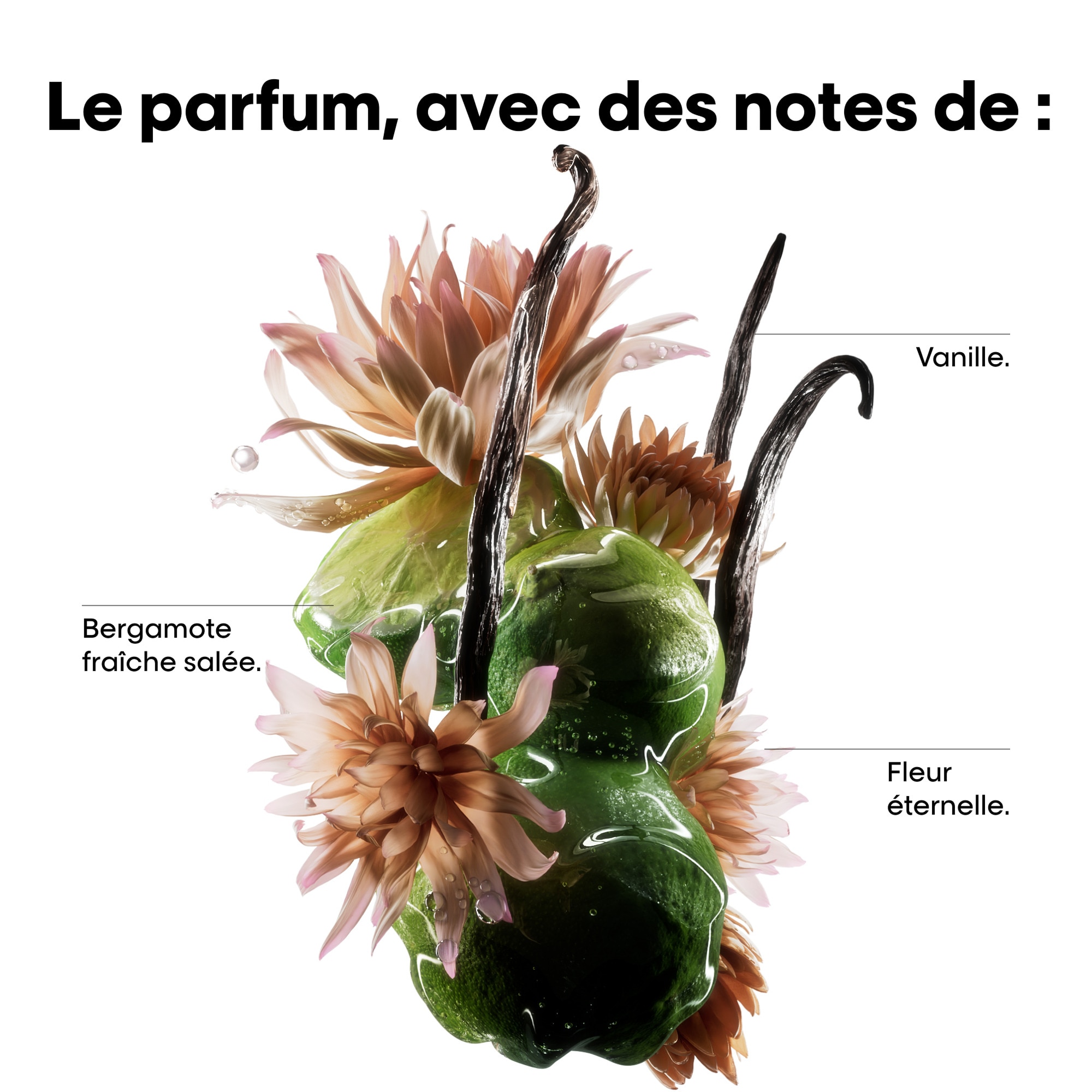 Shampoing réparateur