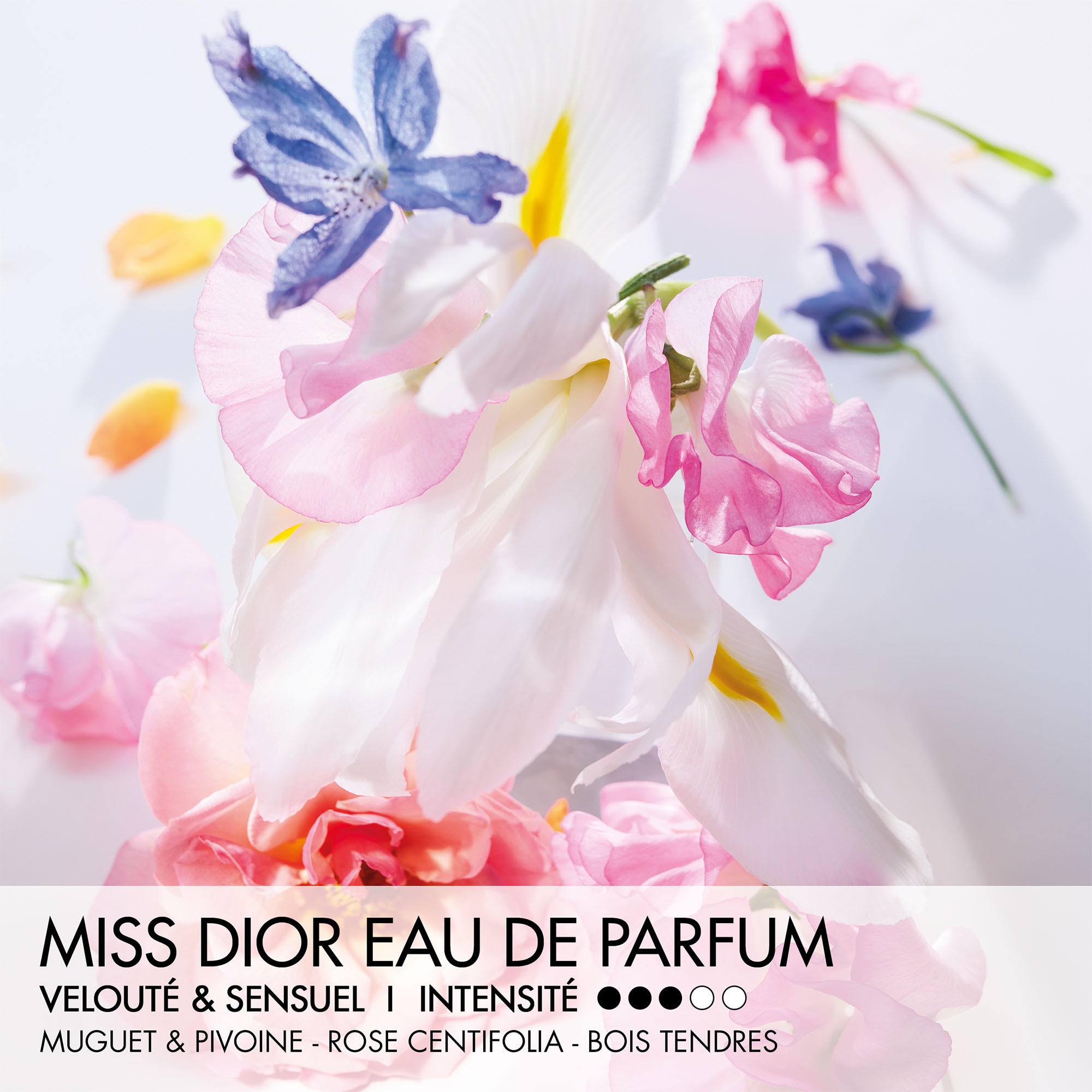 20ML DIOR MISS DIOR Eau de parfum roller-pearl - notes florales vanillées et sensuelles 1 of 4