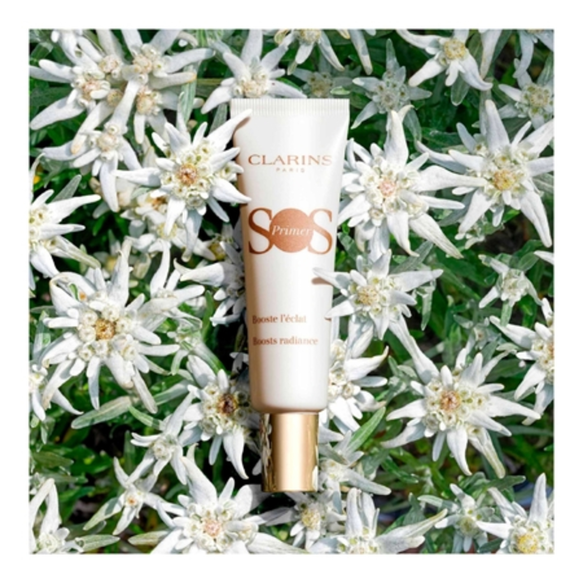 Base de Teint Illuminatrice