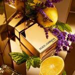 50ML DOLCE&GABBANA THE ONE GOLD POUR HOMME TOPH GOLD EDP50ML VP WEB  3 of 4 TOPH GOLD EDP50ML VP WEB