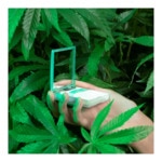 35g MERCI HANDY MAGIC PLANTS Papier matifiant 2 of 4 Papier matifiant