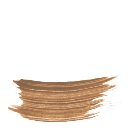 Phyto-Sourcils Fix