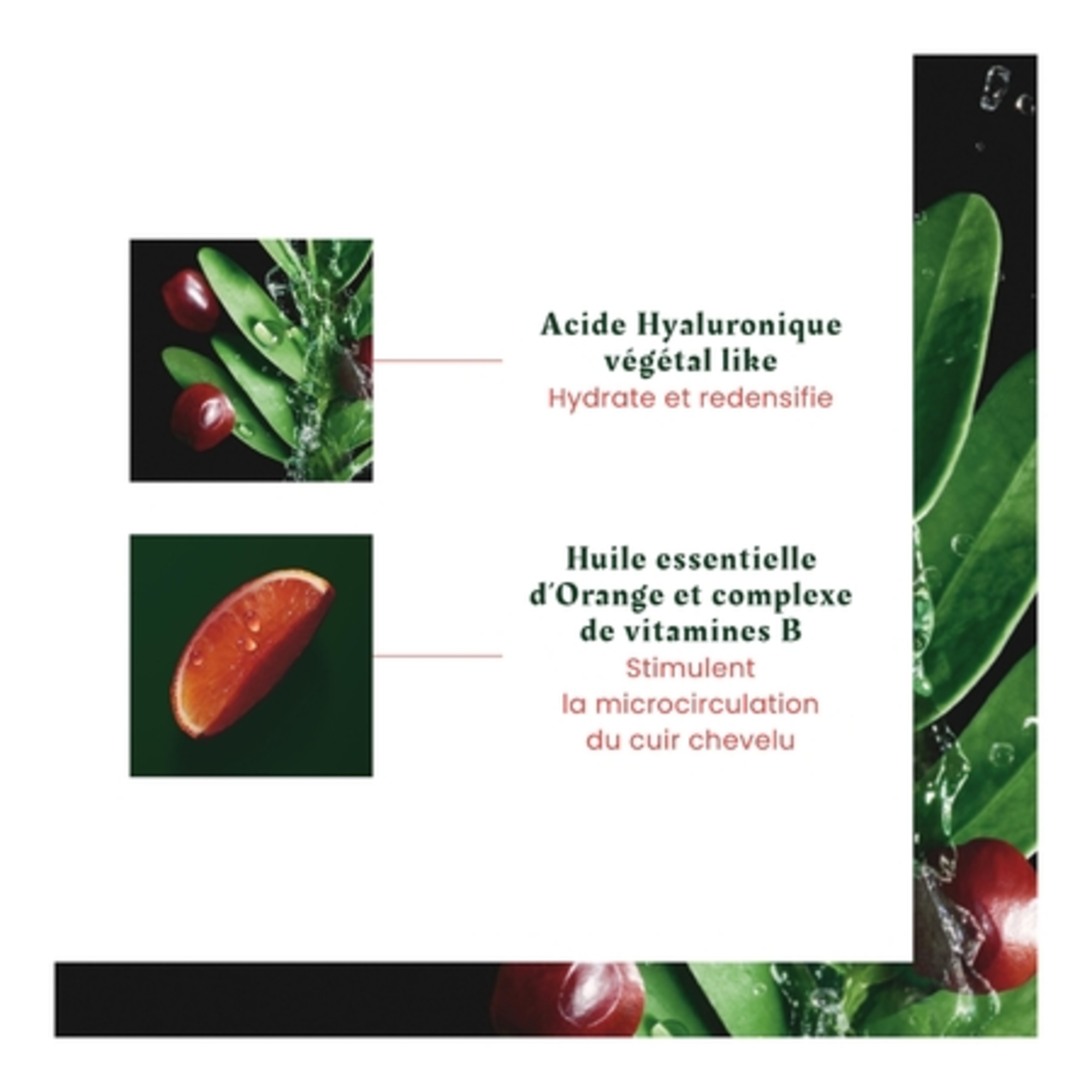 Masque démêlant densifiant pro-jeunesse - cheveux affinés & fatigués