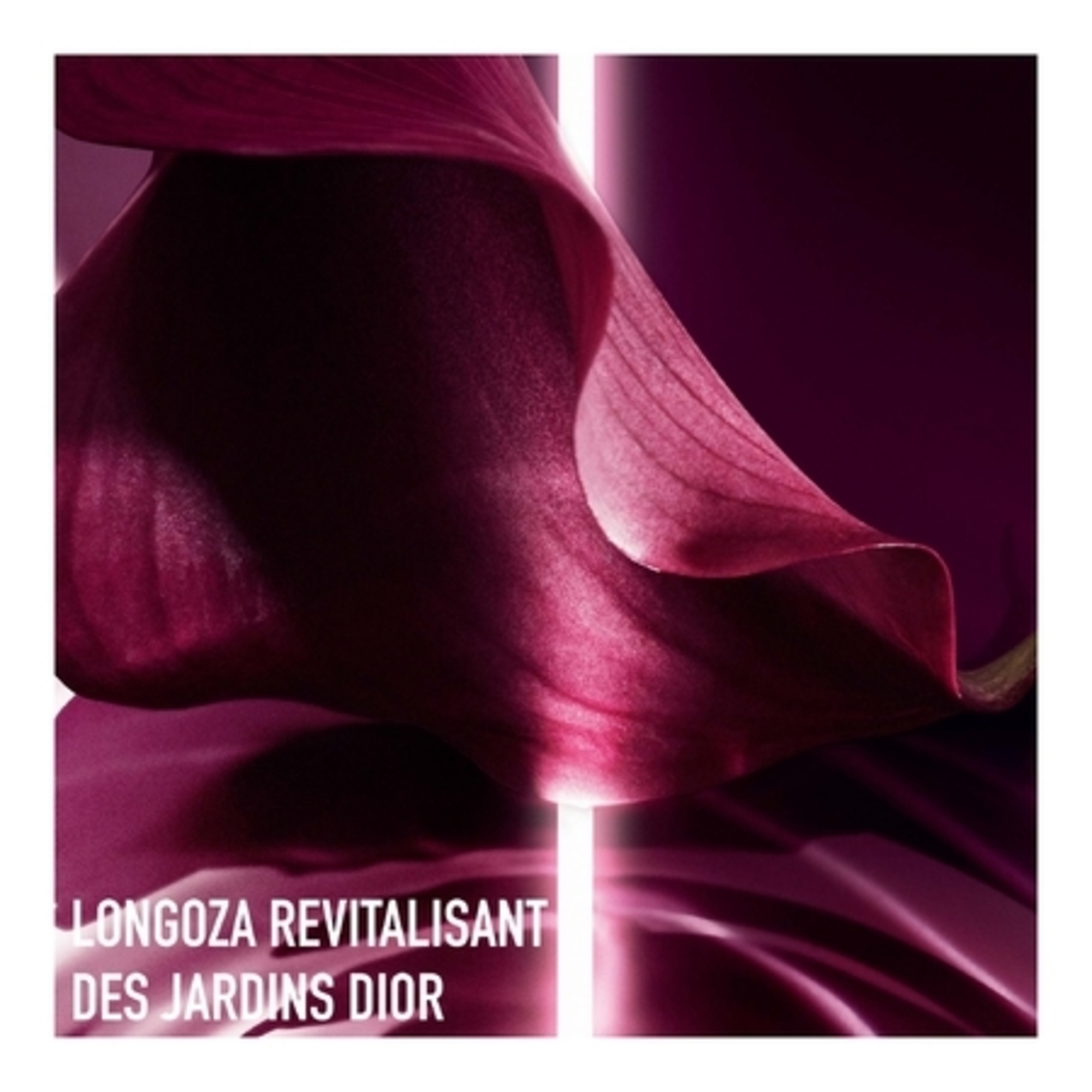 Super potent rich creme - crème anti-âge global, nutrition et réparation intense