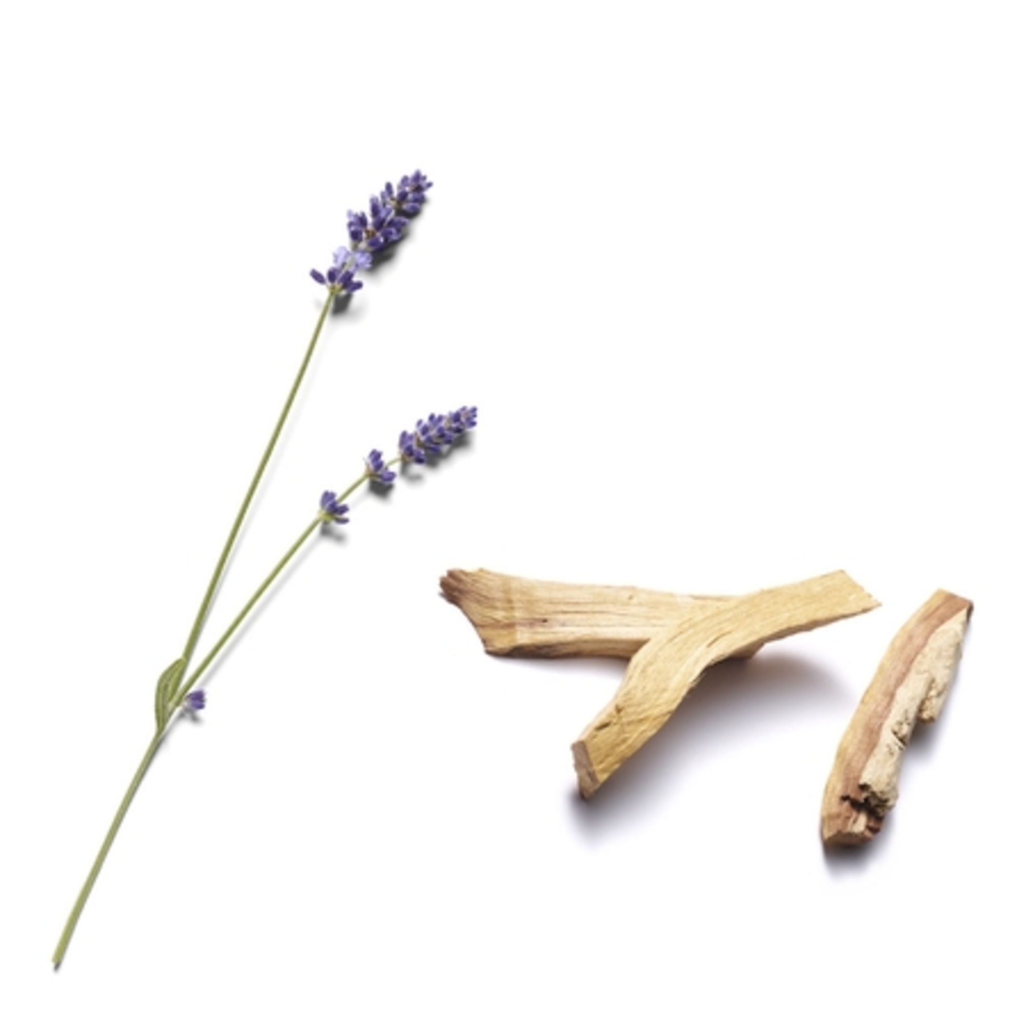 Sleep - Masque réparateur Mains