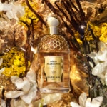 75ML Guerlain AQUA ALLEGORIA FORTE Bosca vanilla - eau de parfum  2 of 4 Bosca vanilla - eau de parfum