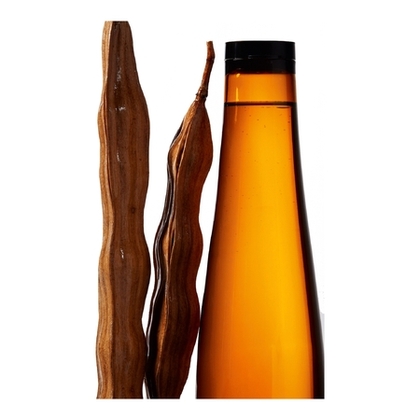 Shampooing cheveux secs