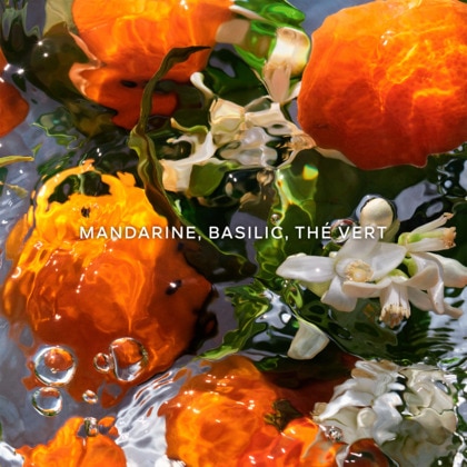 Mandarine basilic - recharge