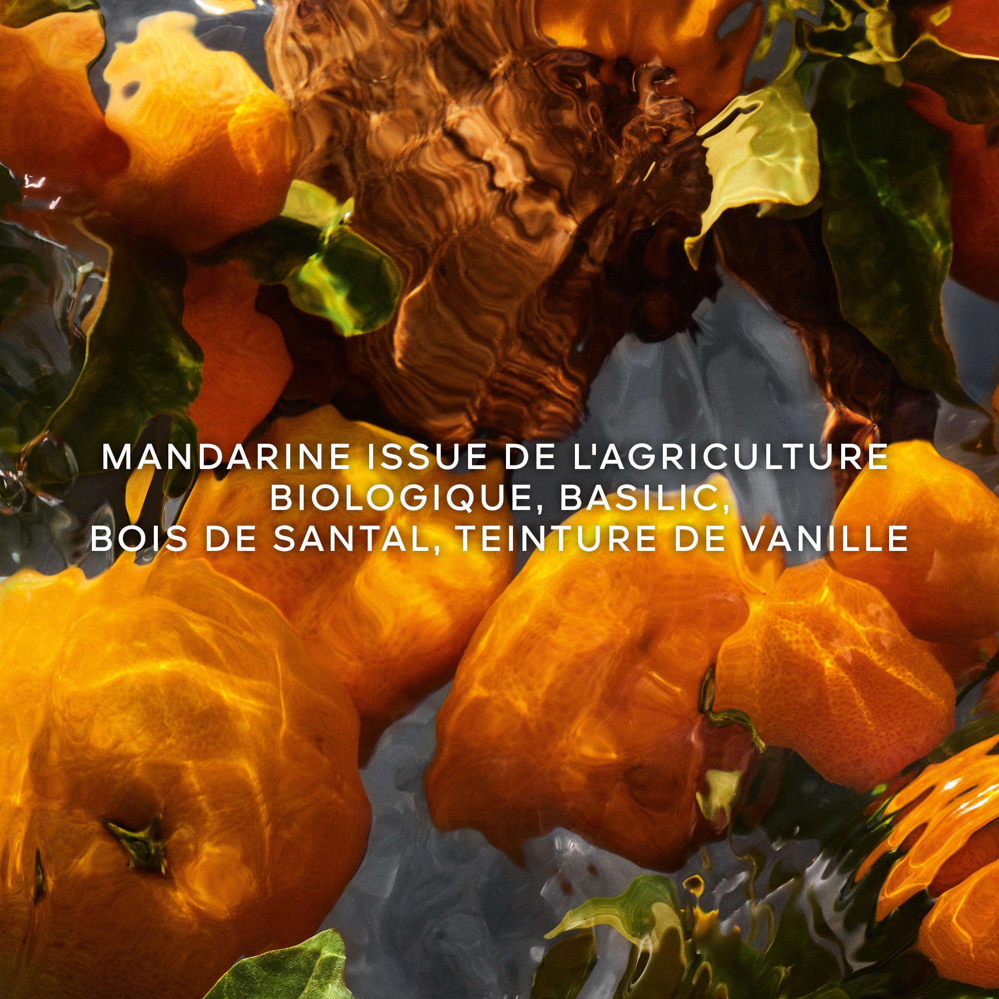 Mandarine basilic - eau de parfum rechargeable
