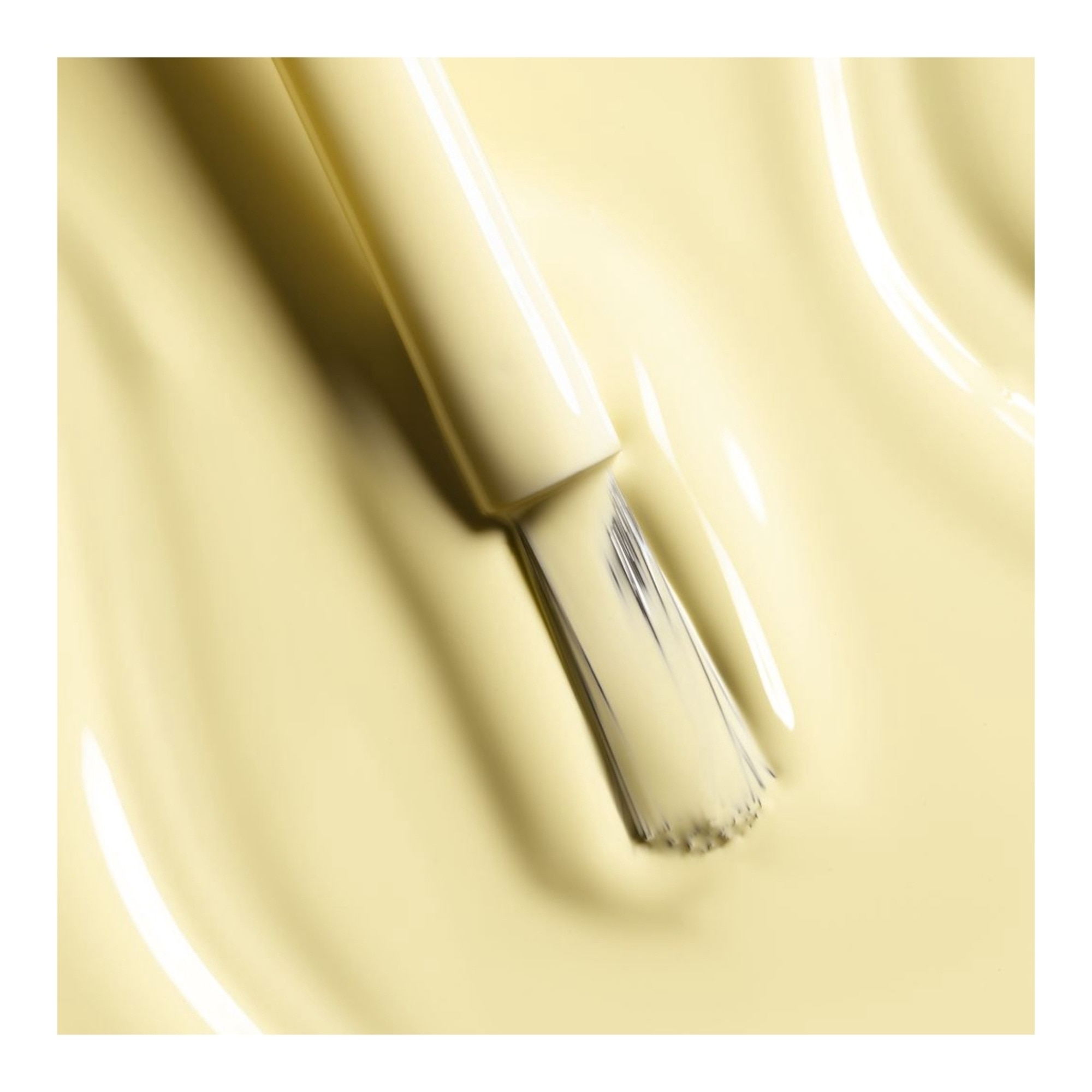 Couleur et brillance longue tenue