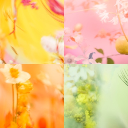 Eau de toilette vaporisateur