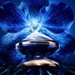 50ML Guerlain ORCHIDÉE IMPÉRIALE La crème riche de longévité - la recharge 3 of 4 La crème riche de longévité - la recharge
