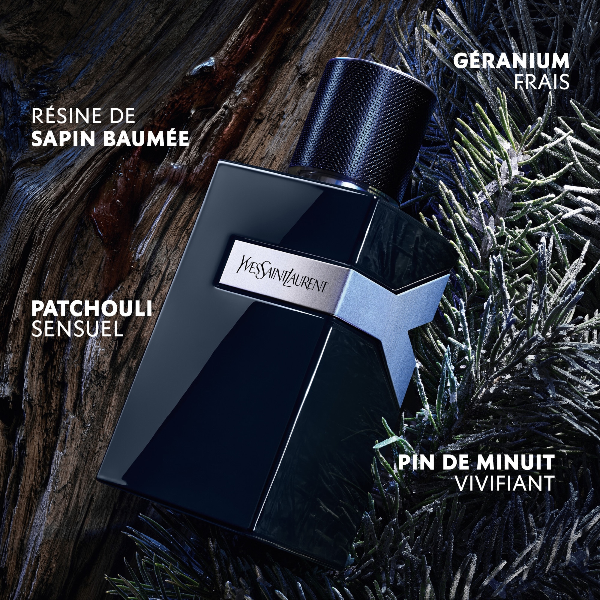 Parfum fougère ambré