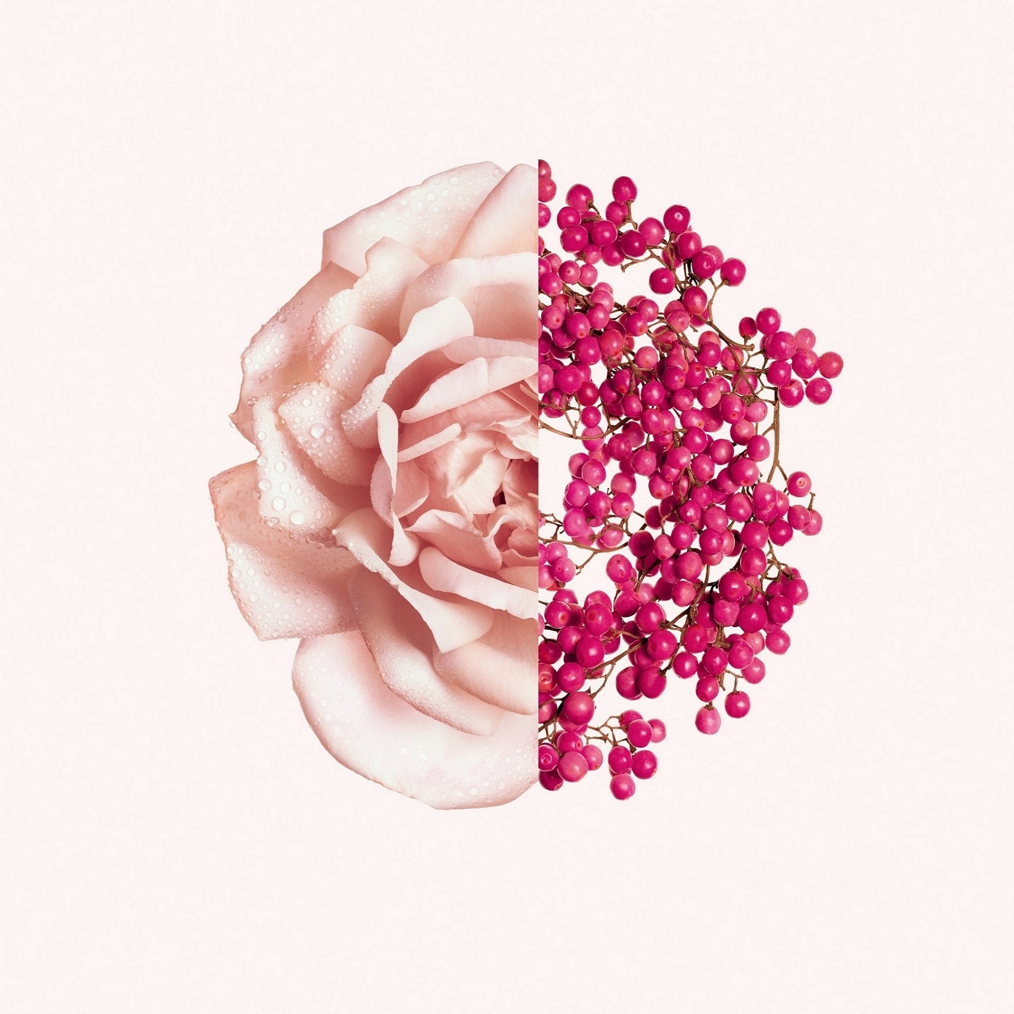 Eau de toilette fraiche