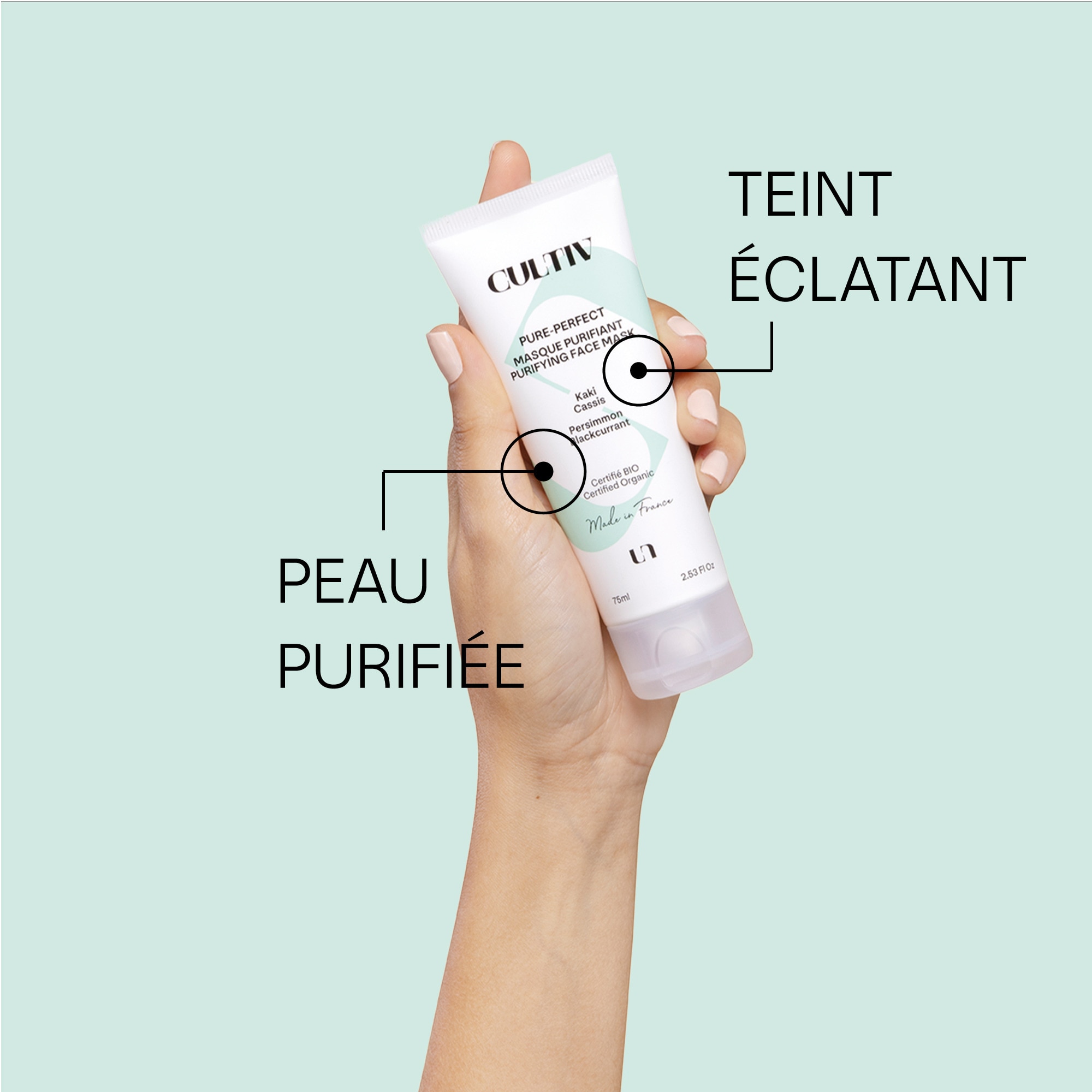 Masque visage purifiant pure-perfect