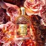 75ml Guerlain AQUA ALLEGORIA FORTE Rosa palissandro - eau de parfum 2 of 4 Rosa palissandro - eau de parfum