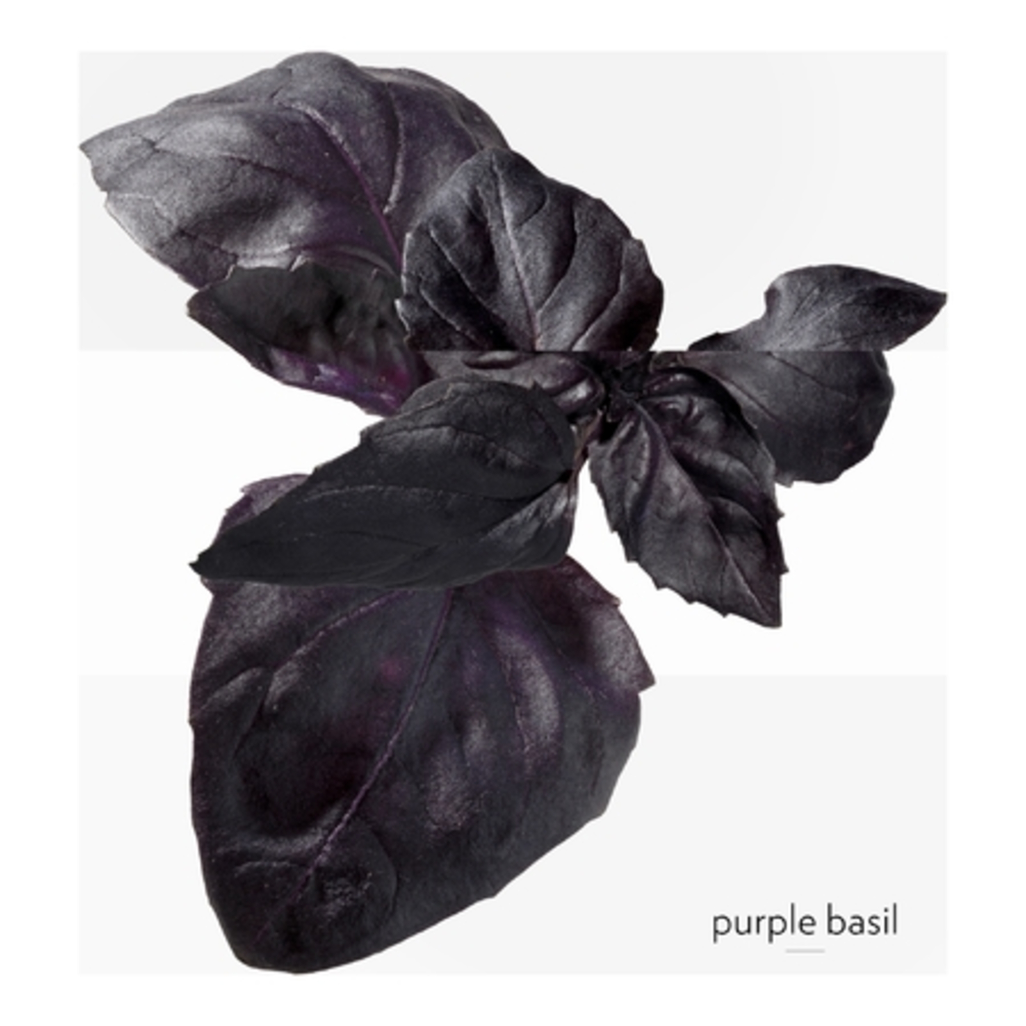 Eau de cologne - rechargeable