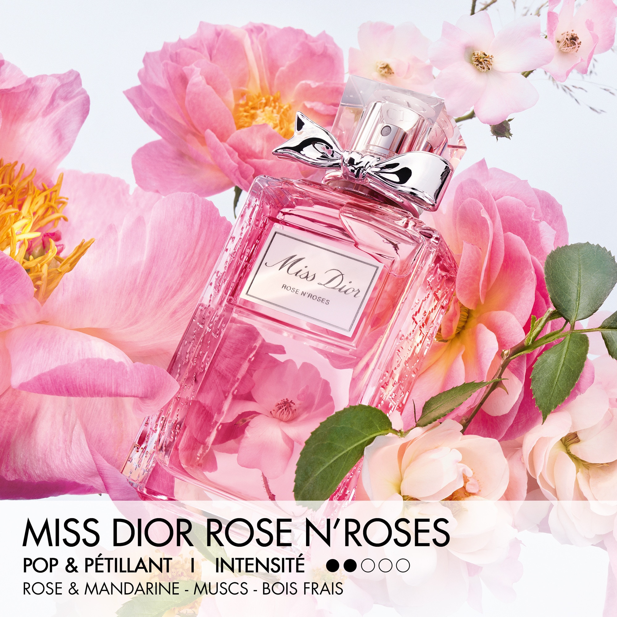 50mL DIOR MISS DIOR ROSE N'ROSES Eau de toilette  1 of 4 