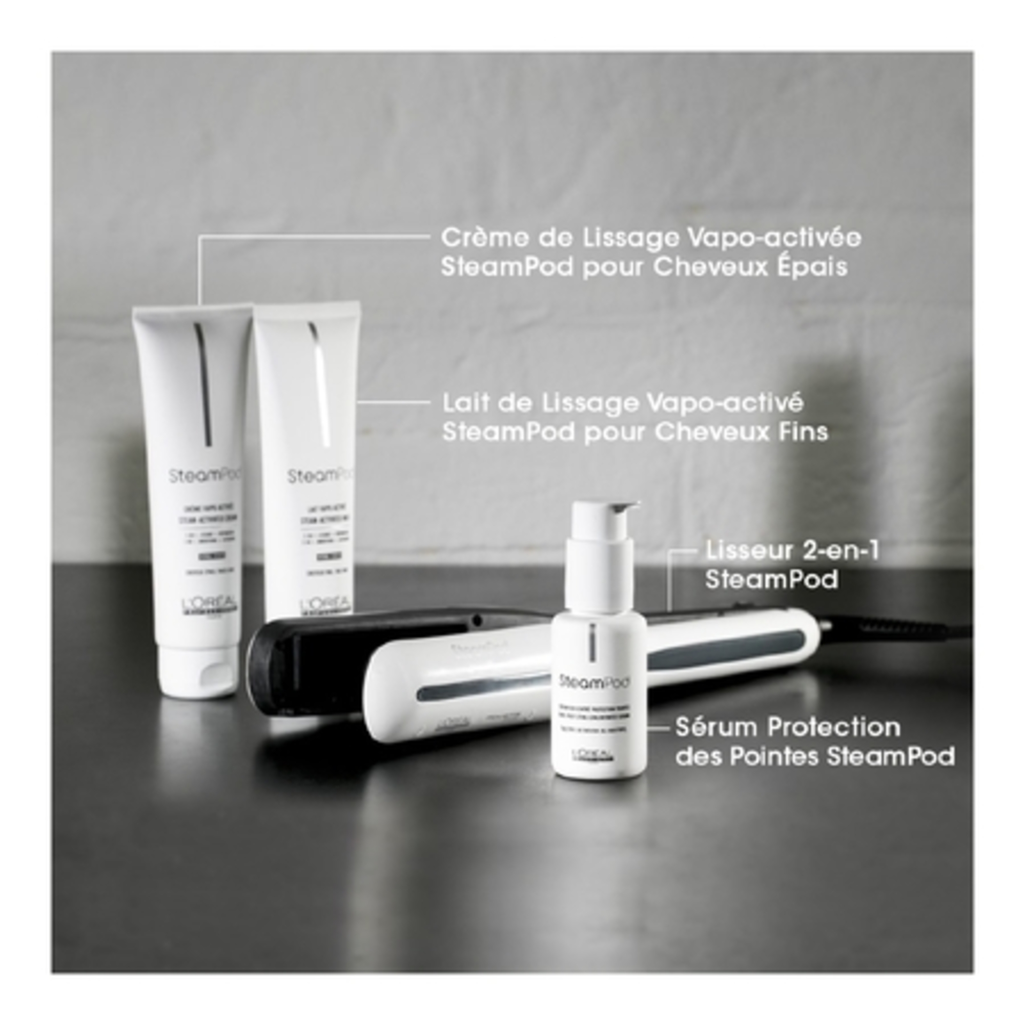 Lisseur Vapeur Professionnel 2-EN-1