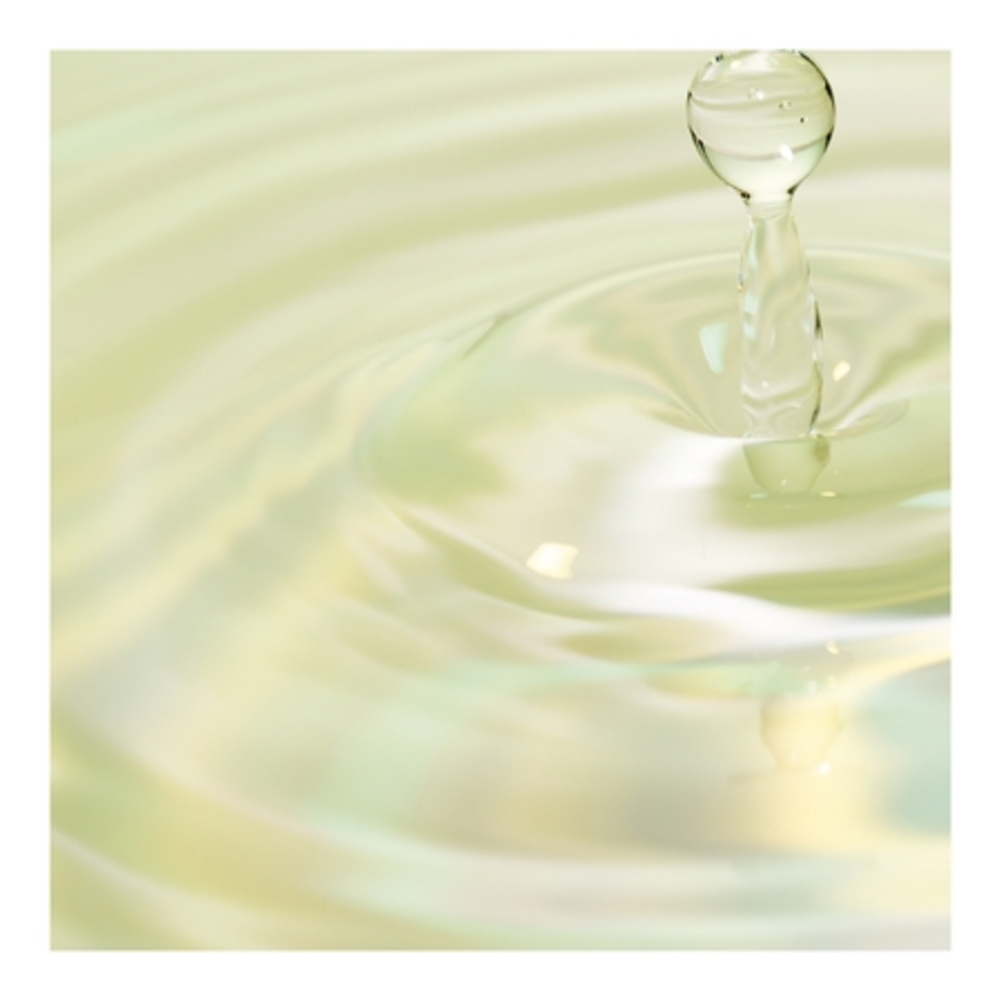 Lotion purifiante équilibrante