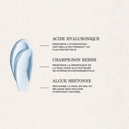Gelée hydratante adaptogène