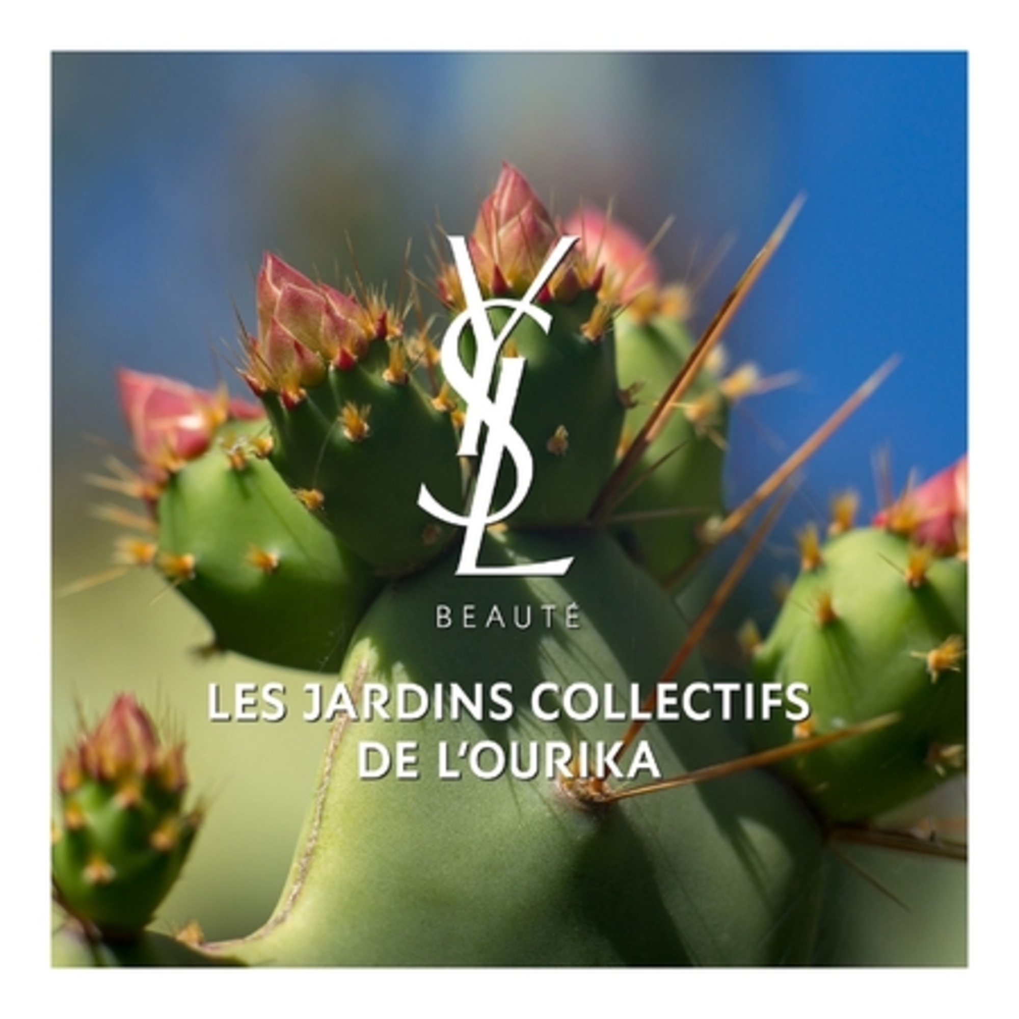 Huile sublimatrice corps