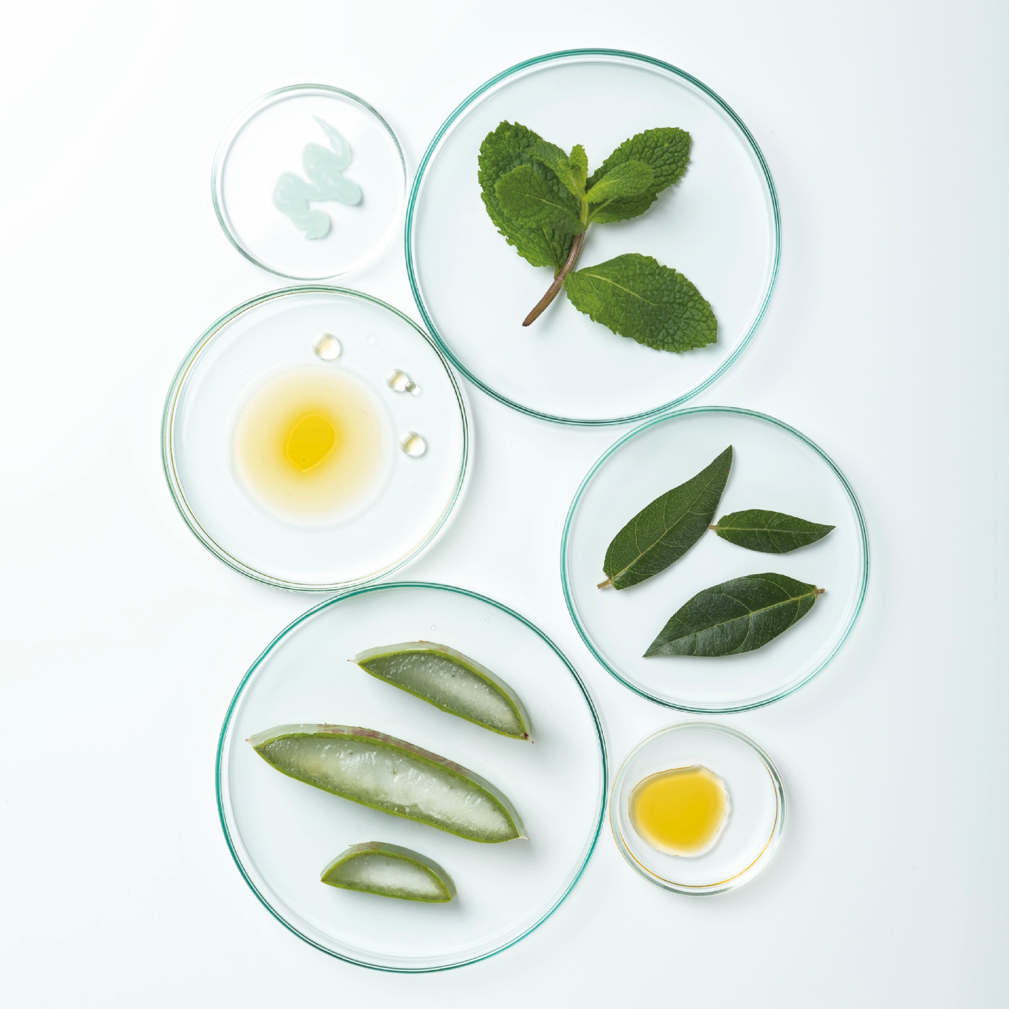 Dentifrice soin fraicheur bio - format mini